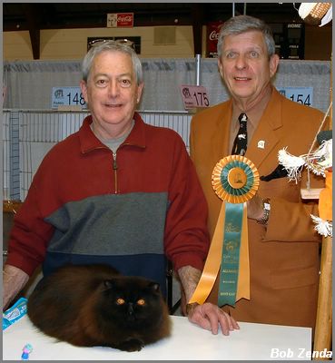 Catsafrats Shine on of Agonistes